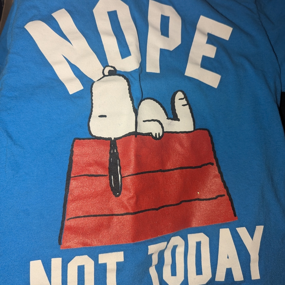 Blue Snoopy Graphic T-Shirt